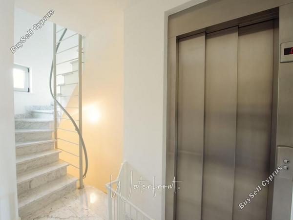 4 bedroom detached house for rent latsi paphos 8958982 image 17777107