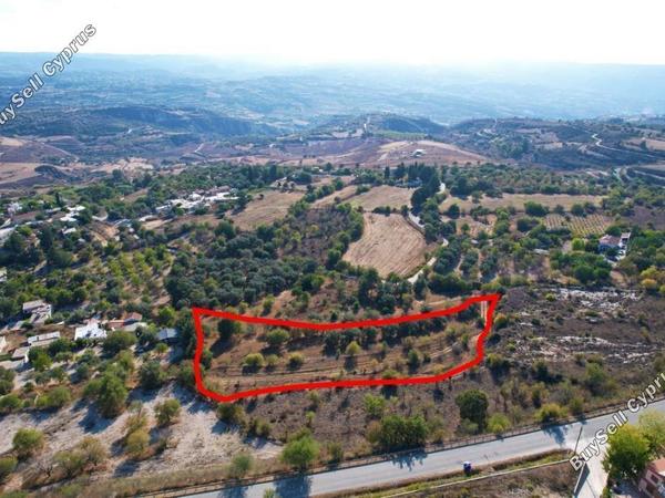 land for sale drynia paphos 1897982 image 14210224