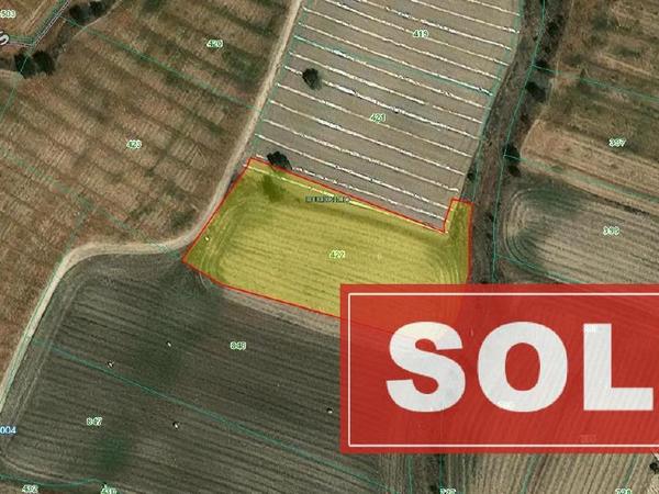 land sold episkopeio nicosia 1212982 image 15965525