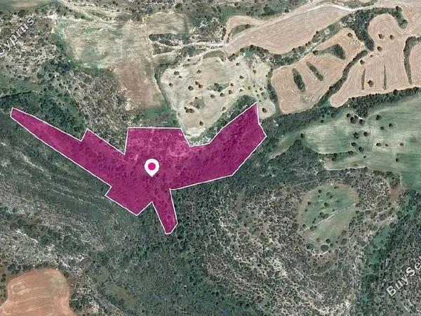 land for sale faneromeni larnaca 8139092 image 17197977