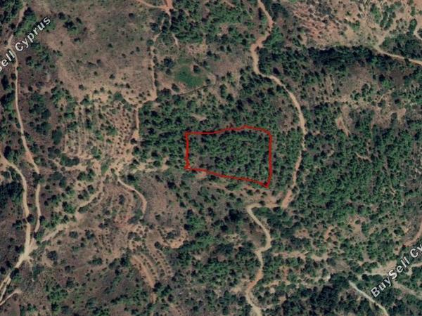 land for sale kalopanagiotis nicosia 830092 image 15664112