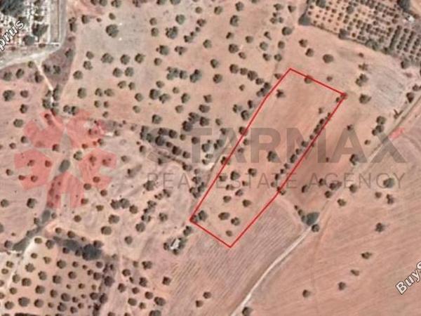 land for sale mazotos larnaca 1842092 image 6591486