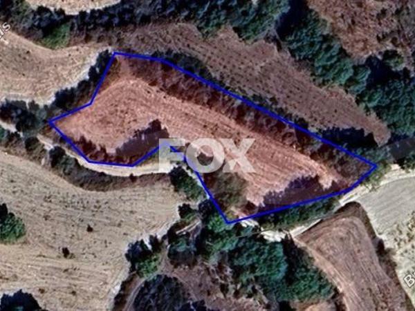 land for sale polemi paphos 1597092 image 5647457
