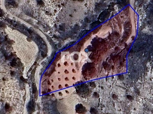 land for sale polemi paphos 1597092 image 5647462