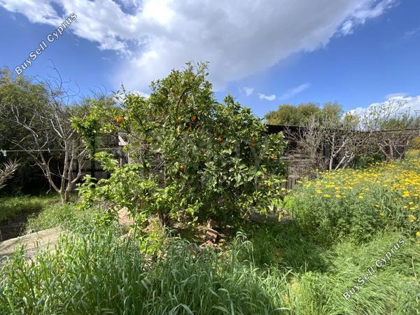 land for sale tersefanou larnaca 7872092 image 11384095
