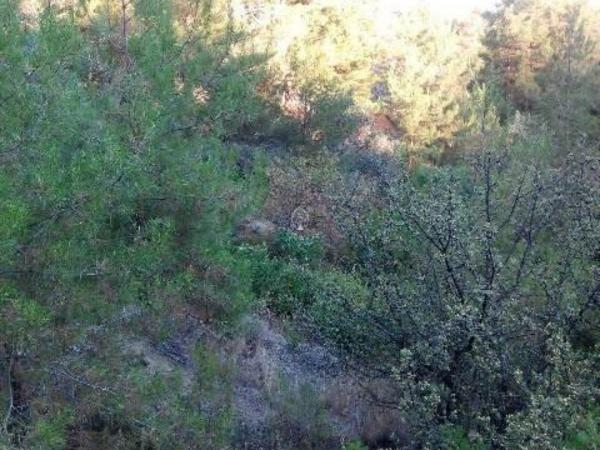 plot for sale moniatis limassol 979092 image 6235277