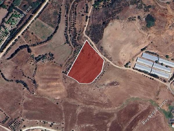 land for sale agia varvara paphos 1472192 image 15599187