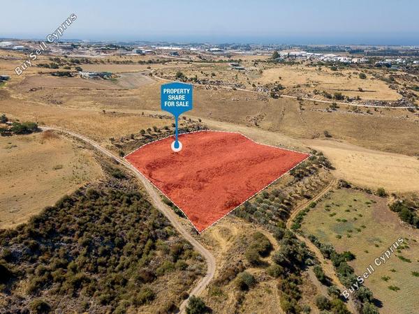land for sale agia varvara paphos 1472192 image 15599193