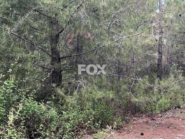 land for sale moniatis limassol 1185192 image 5567064