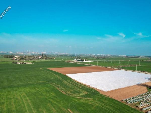 land for sale softades larnaca 1650192 image 5669877