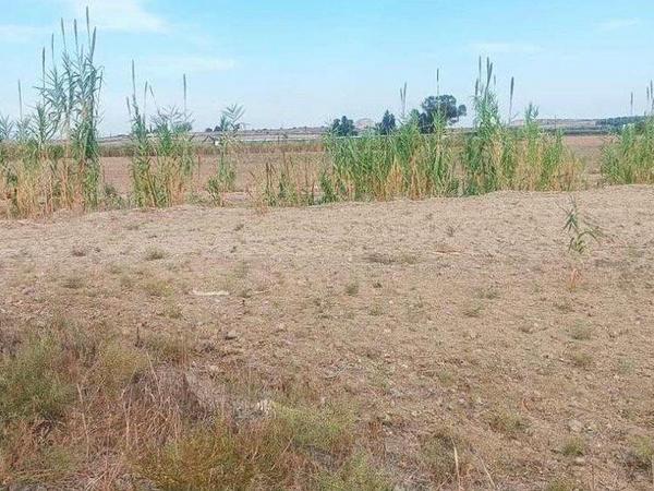 plot for sale potamia nicosia 8139192 image 13385900