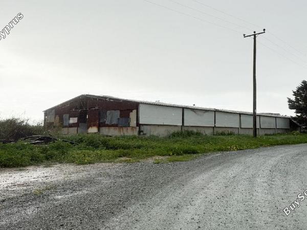 studio industrial building for sale aradippou larnaca 8437192 image 16187452