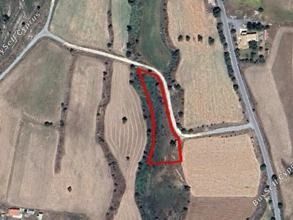 land for sale anarita paphos 8395292 image 14818300
