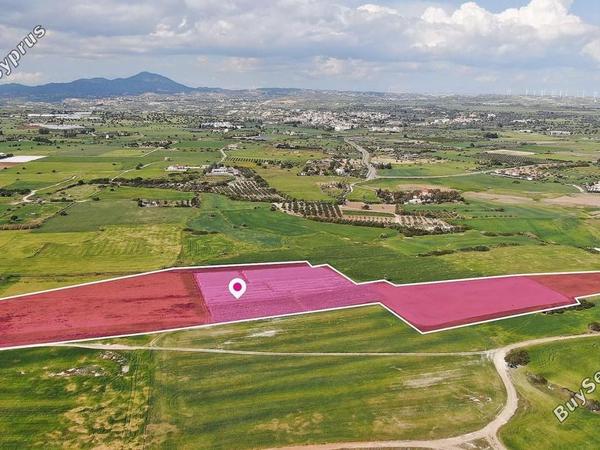 land for sale mazotos larnaca 8629292 image 15867208