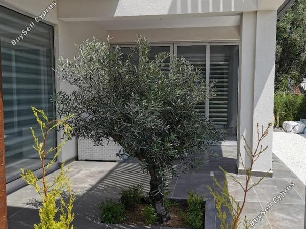 3 bedroom detached house for sale limassol marina limassol 7514392 image 9400767