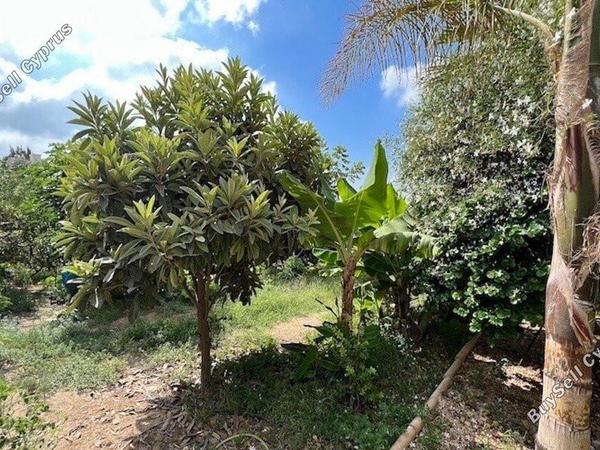 3 bedroom detached house for sale tala paphos 1898392 image 14215620