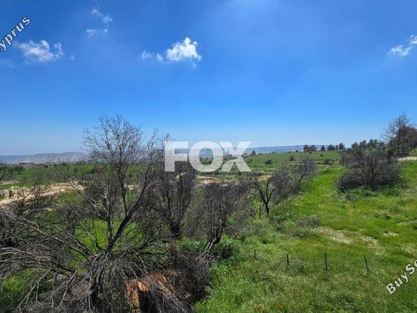4 bedroom detached house for rent lofou limassol 8587392 image 15684588