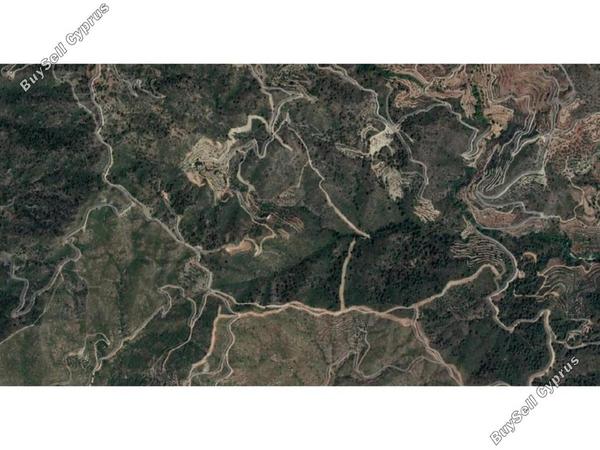 land for sale agioi vavatsinias larnaca 1685392 image 6011795