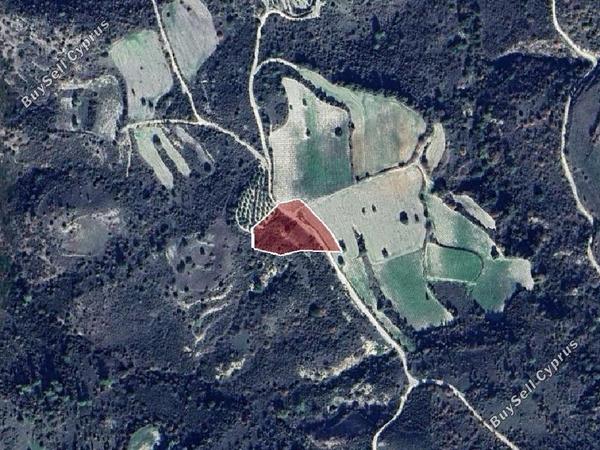 land for sale dora limassol 1614392 image 15598505