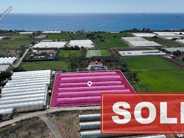 land sold maroni larnaca 1520392 image 3742628
