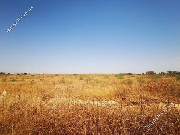 land for sale avgorou famagusta 8630492 image 15873541