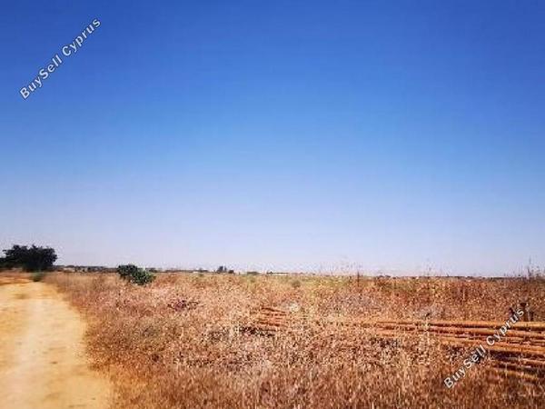 land for sale avgorou famagusta 8630492 image 15873542