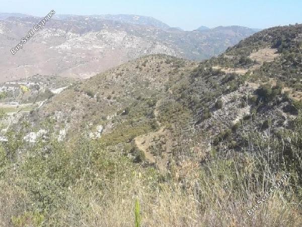 land for sale dora limassol 1158492 image 15602260