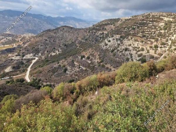 land for sale dora limassol 1158492 image 17253559