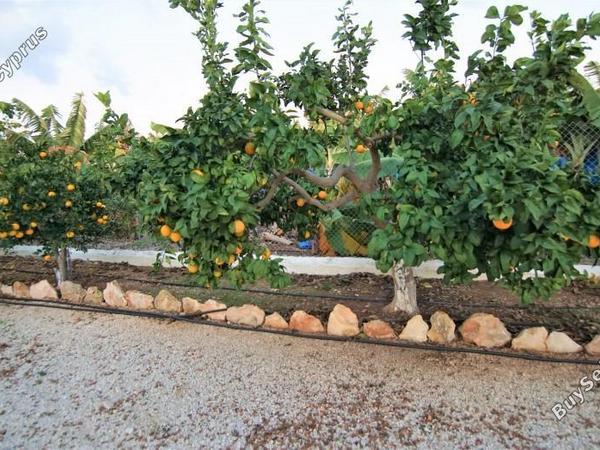 4 bedroom detached house for rent saint george peyia paphos 8698592 image 16206055