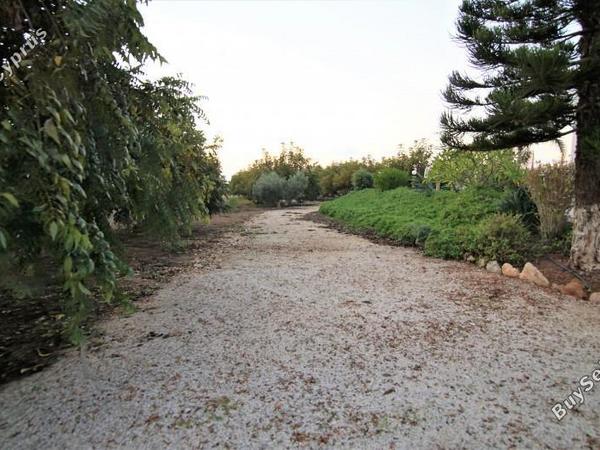 4 bedroom detached house for rent saint george peyia paphos 8698592 image 16206057