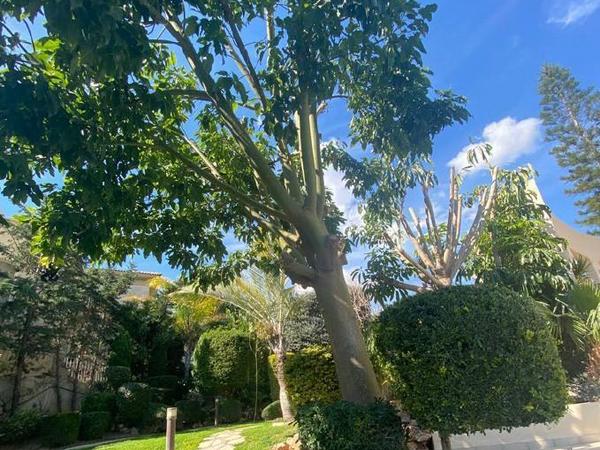 6 bedroom detached house for sale kalogiroi limassol 7733592 image 10149239