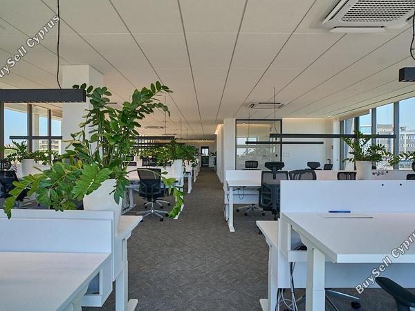 studio commercial building for rent linopetra limassol 8966592 image 17841665