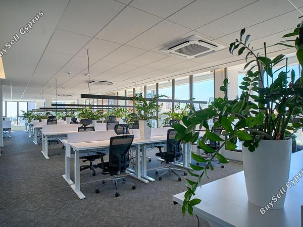 studio commercial building for rent linopetra limassol 8966592 image 17930008