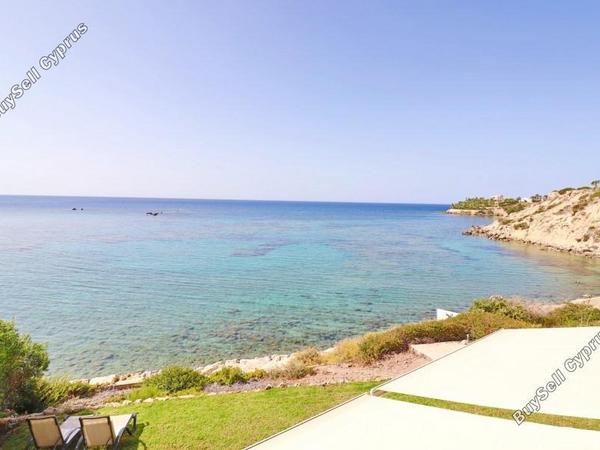 4 bedroom detached house for sale coral bay paphos 7738692 image 11940570
