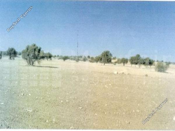 land for sale agios theodoros larnacas larnaca 7870692 image 11378958