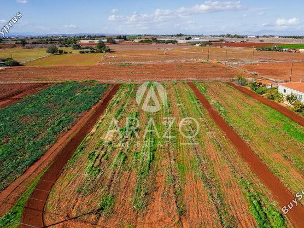 land for sale frenaros famagusta 7921692 image 11222140