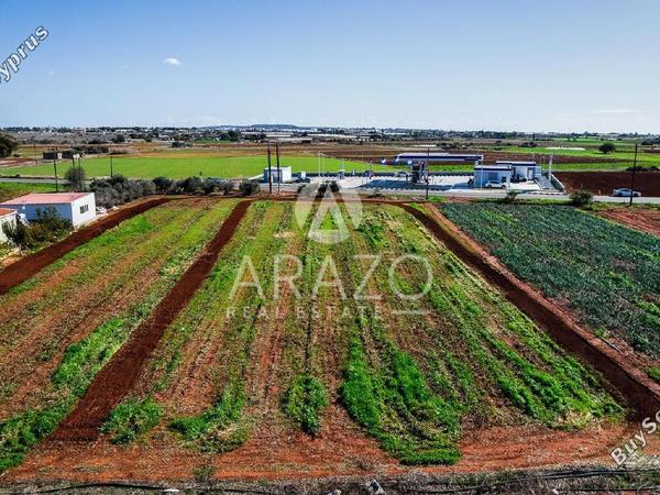land for sale frenaros famagusta 7921692 image 11222151