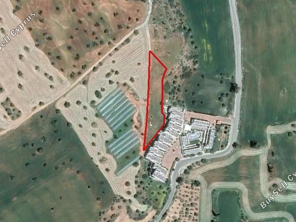 land for sale mazotos larnaca 830692 image 2346718