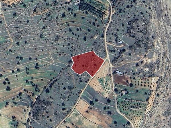 land for sale pachna limassol 8726692 image 16333367