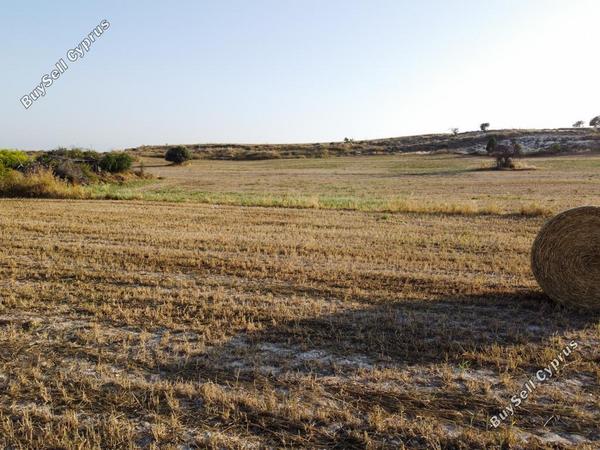 land for sale tersefanou larnaca 7847692 image 13133991