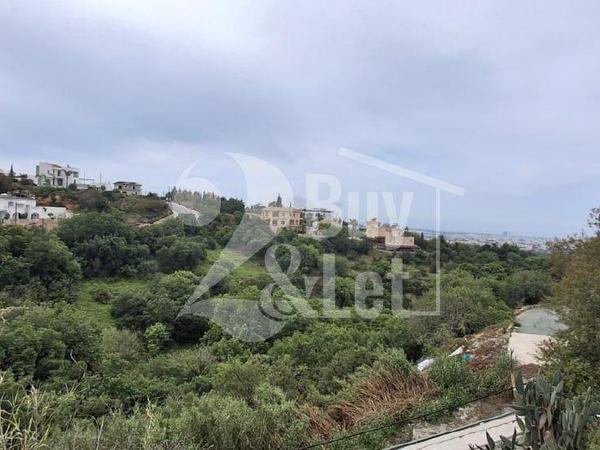 3 bedroom detached house for sale mesogi paphos 8857892 image 17281601