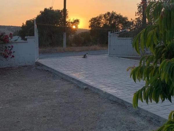 3 bedroom detached house for sale moni limassol 1935892 image 16331507