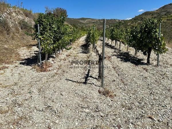 land for sale agios georgios silikou limassol 1924892 image 16553267