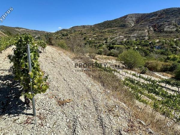 land for sale agios georgios silikou limassol 1924892 image 16553270