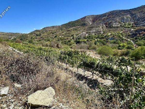 land for sale agios georgios silikou limassol 1924892 image 16553271
