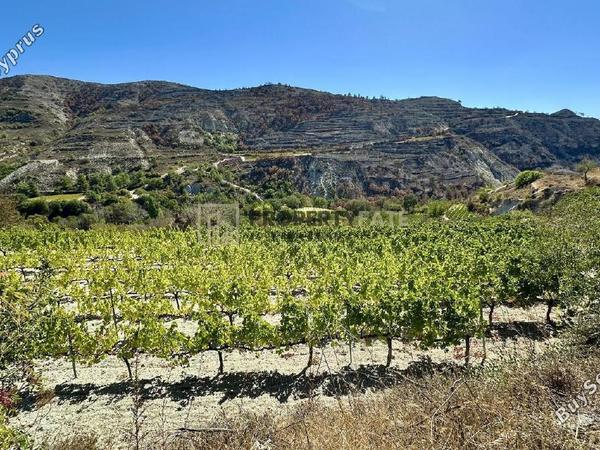 land for sale agios georgios silikou limassol 1924892 image 16553272