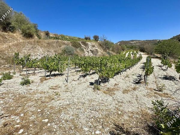 land for sale agios georgios silikou limassol 1924892 image 16553273