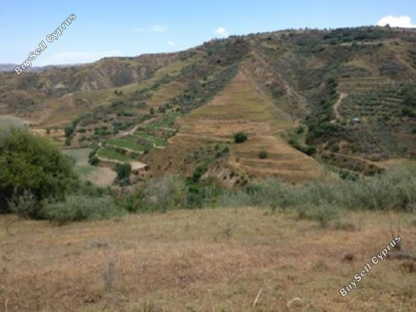 land for sale giolou paphos 8664992 image 17011208