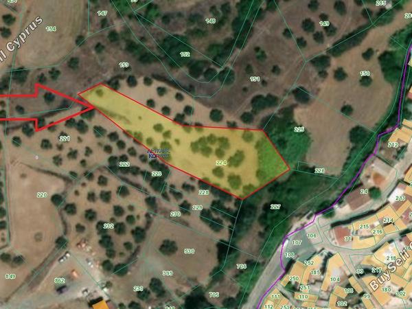 land for sale kornos larnaca 1688992 image 4429930