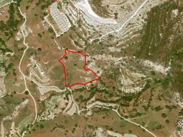 land for sale mesa chorio paphos 1568992 image 5633944